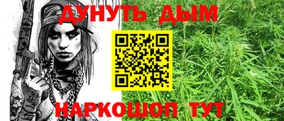 бошки Кингисепп