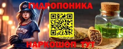 стаф Кимры