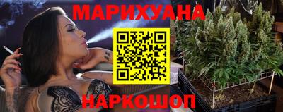 бошки Кингисепп