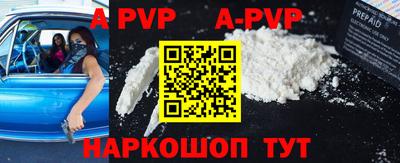 бошки Кингисепп