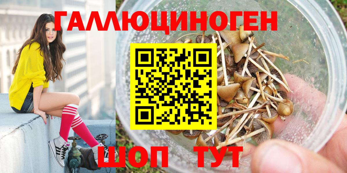Галлюциногенные грибы Psilocybe Дагестанские Огни