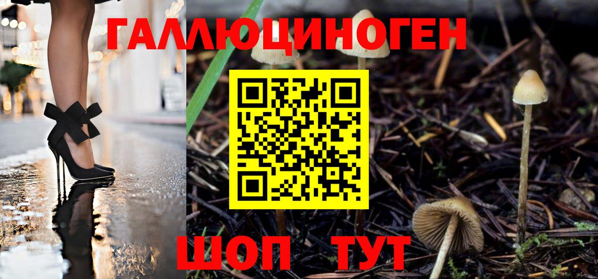 Дагестанские Огни  даркнет сайт  Вход с VPN  Псилоцибиновые грибы Psilocybine cubensis 